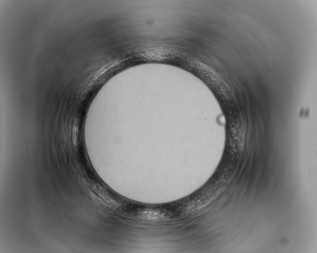 X0000097920596200804111142