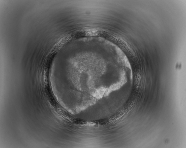 X0000097920598200804111142