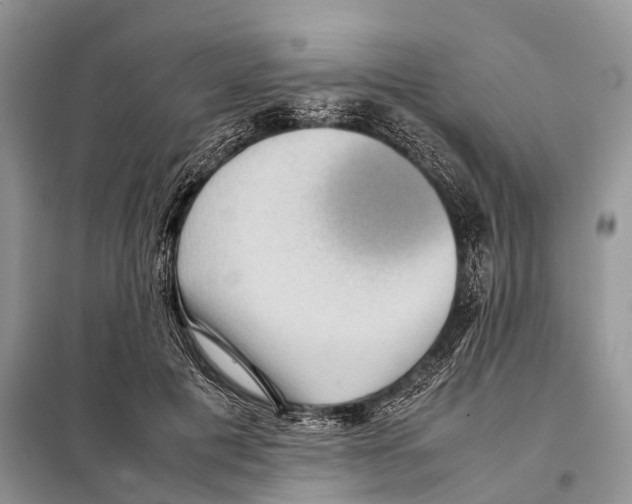 X0000097920601200804111142