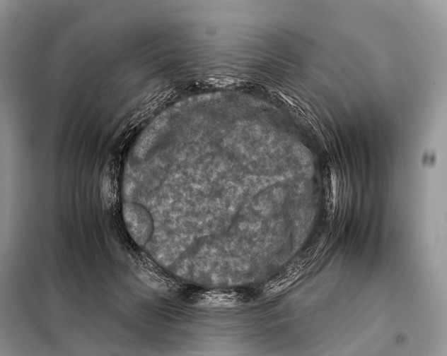 X0000097920606200804111142