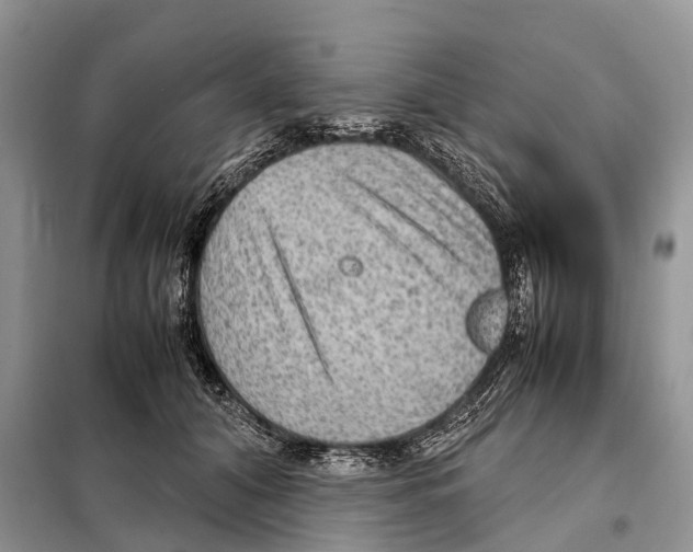 X0000097920608200804111142