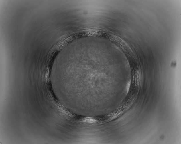 X0000097920610200804111142