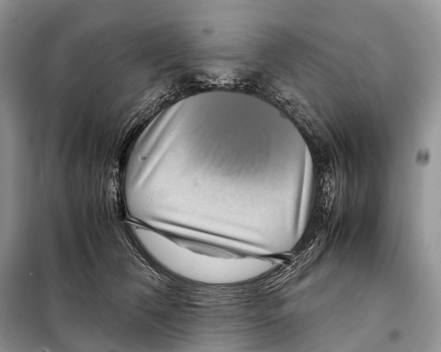 X0000097920612200804111142