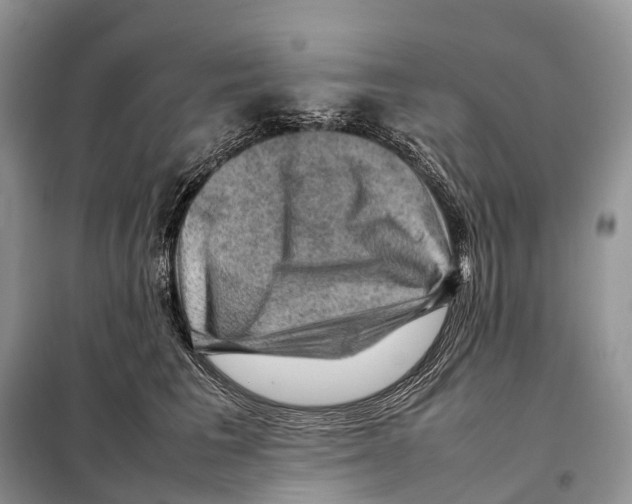 X0000097920613200804111141