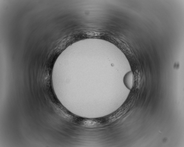 X0000097920614200804111141