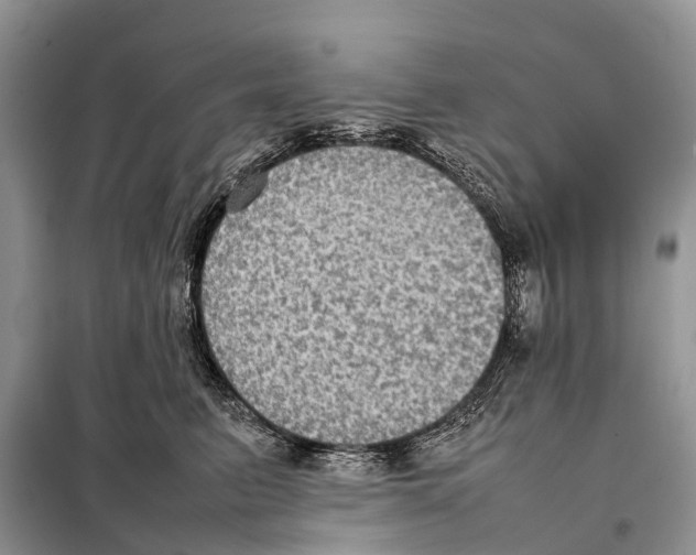 X0000097920615200804111141