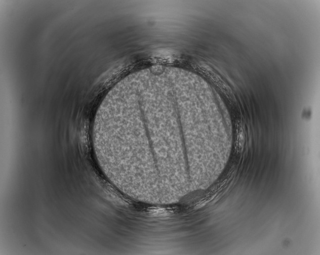 X0000097920616200804111141