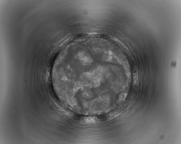 X0000097920618200804111141