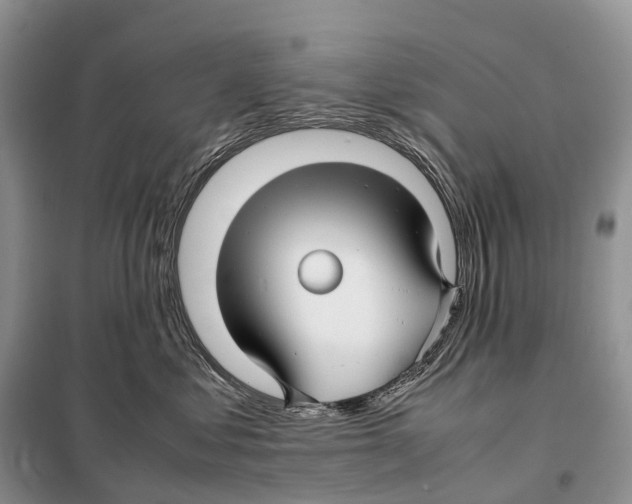 X0000097920621200804111141