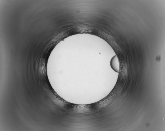 X0000097920622200804111141