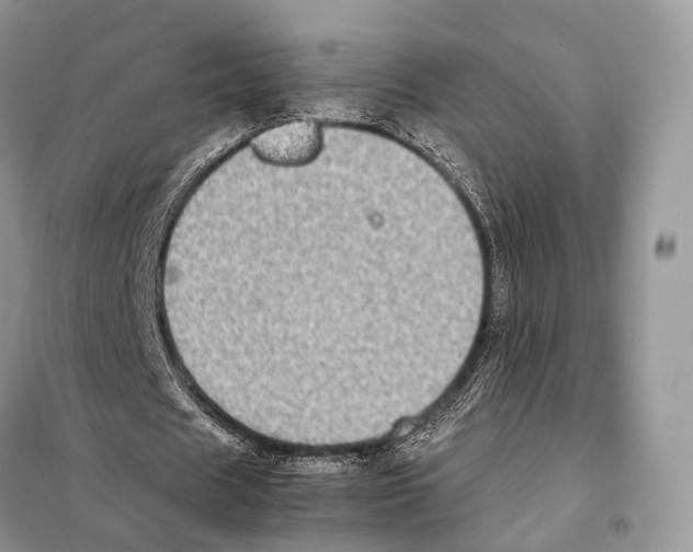 X0000097920625200804111141