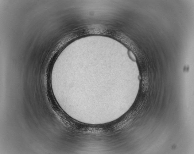 X0000097920626200804111141