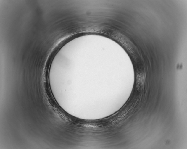 X0000097920628200804111141