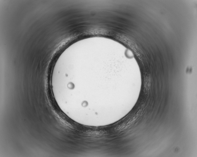 X0000097920629200804111141