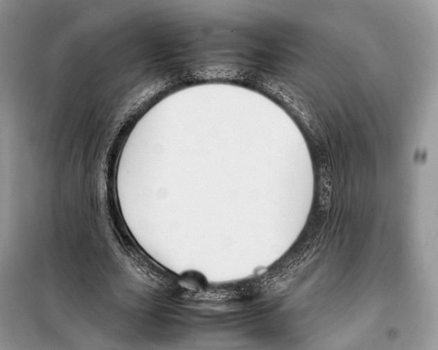 X0000097920631200804111141