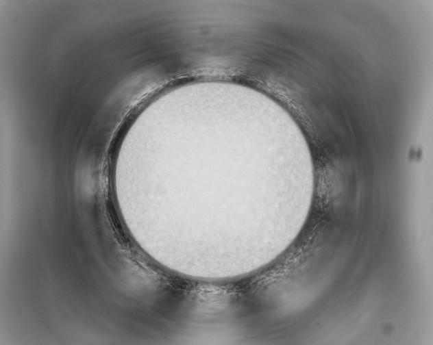 X0000097920632200804111141