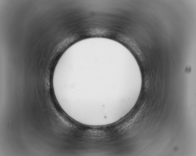 X0000097920633200804111141