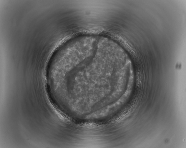 X0000097920634200804111141