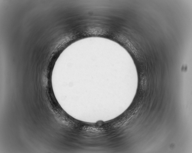 X0000097920635200804111141