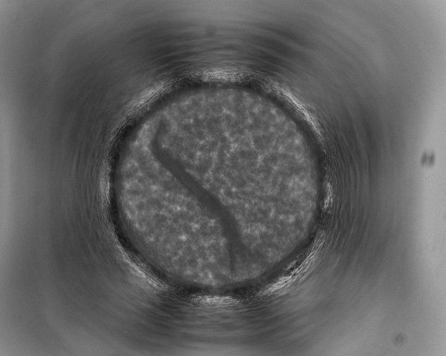 X0000097920637200804111141