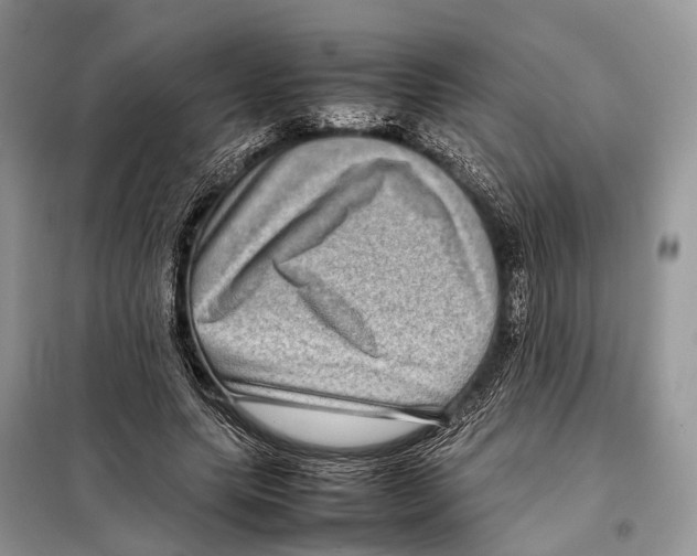 X0000097920639200804111141