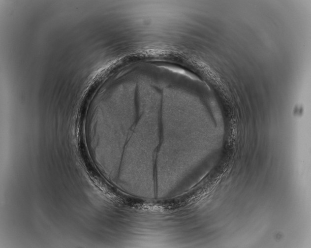 X0000097920640200804111141