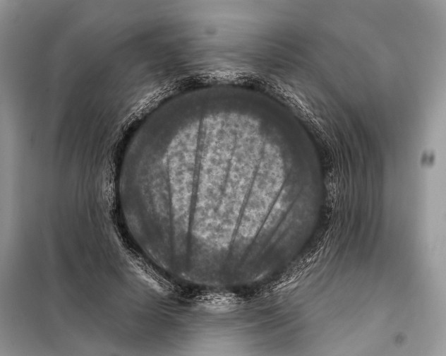 X0000097920642200804111141