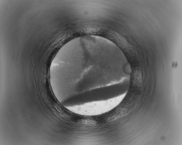 X0000097920644200804111141