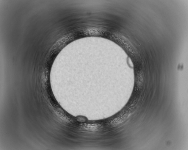 X0000097920645200804111141