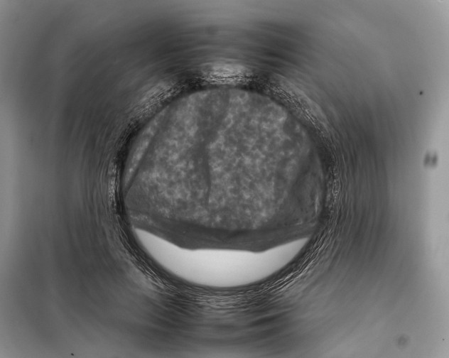 X0000097920647200804111141