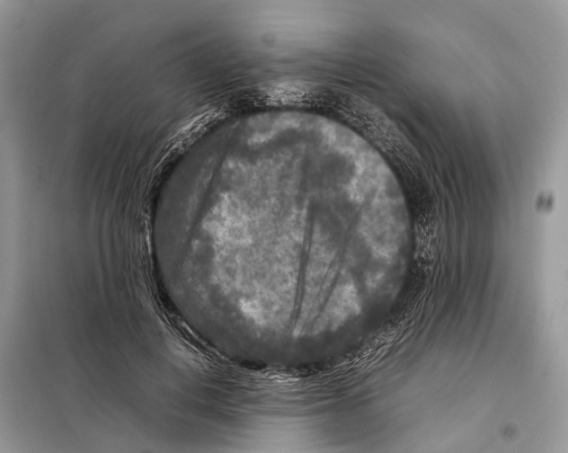 X0000097920648200804111141