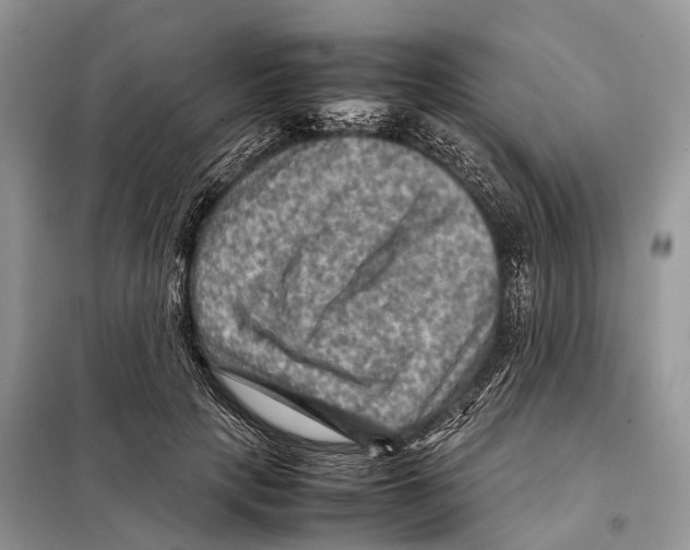 X0000097920649200804111141