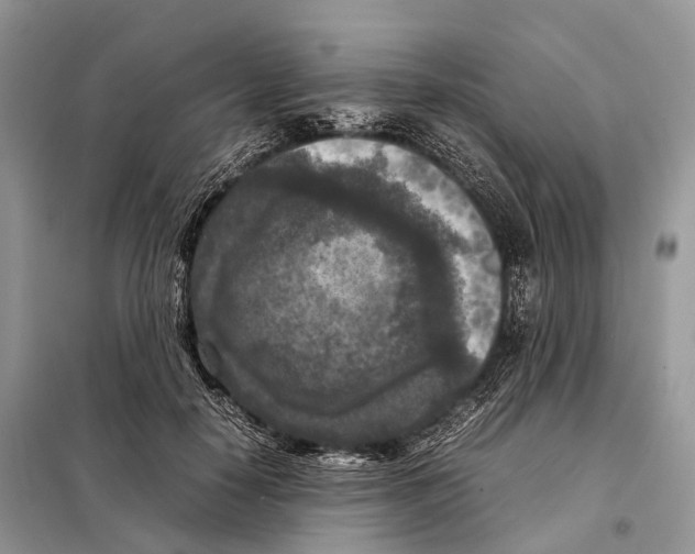 X0000097920650200804111141