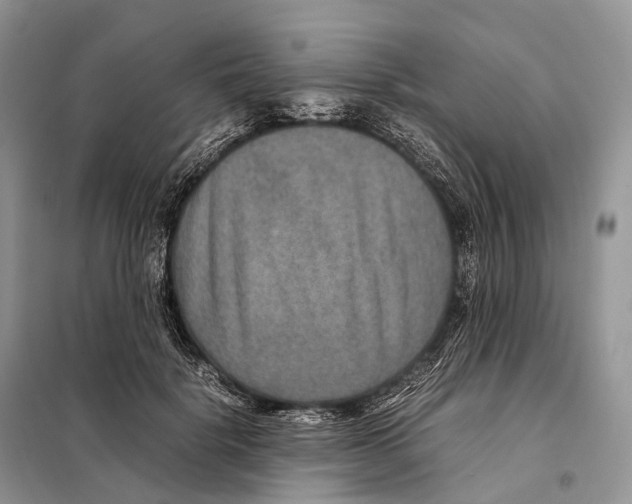 X0000097920652200804111141