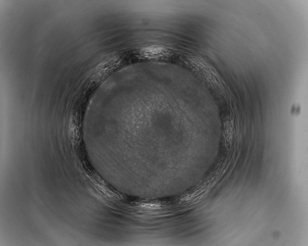 X0000097920653200804111141