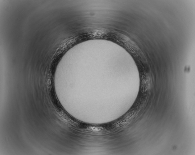 X0000097920654200804111141