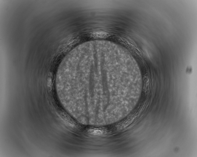 X0000097920655200804111141