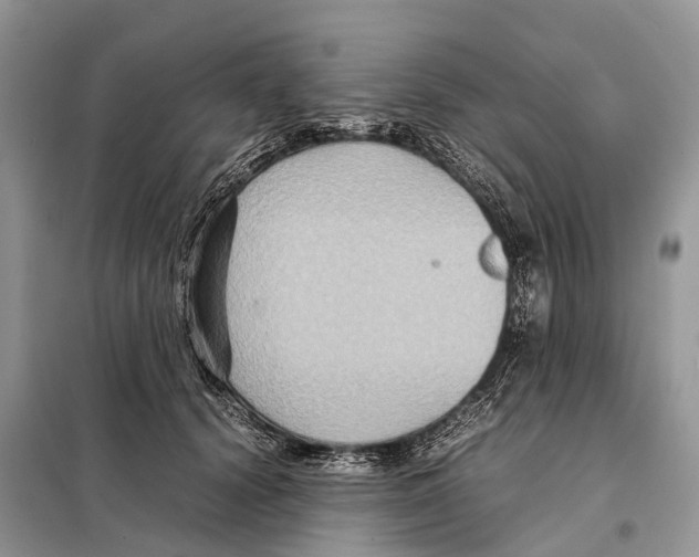 X0000097920656200804111141