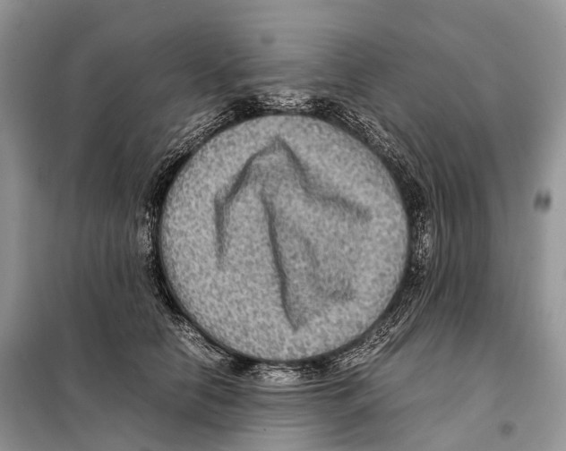 X0000097920658200804111141