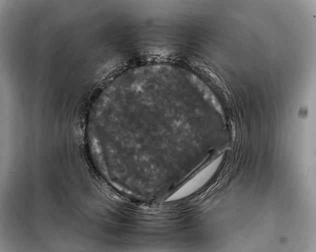 X0000097920661200804111141