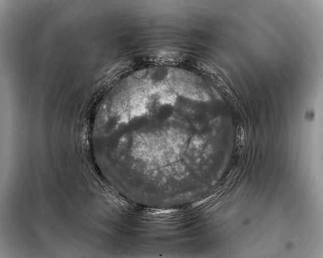 X0000097920663200804111141