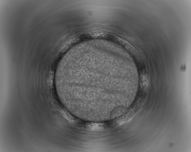 X0000097920664200804111141