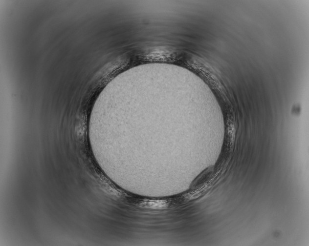 X0000097920665200804111141