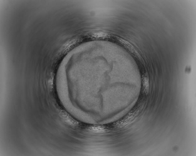 X0000097920668200804111141