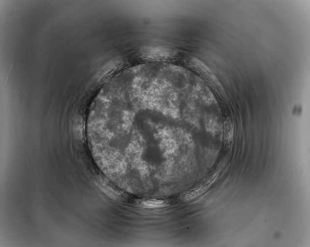 X0000097920669200804111141