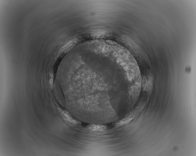 X0000097920670200804111141