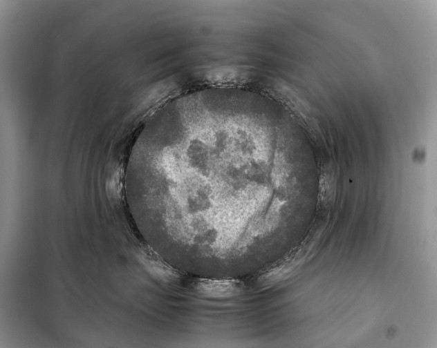 X0000097920671200804111141