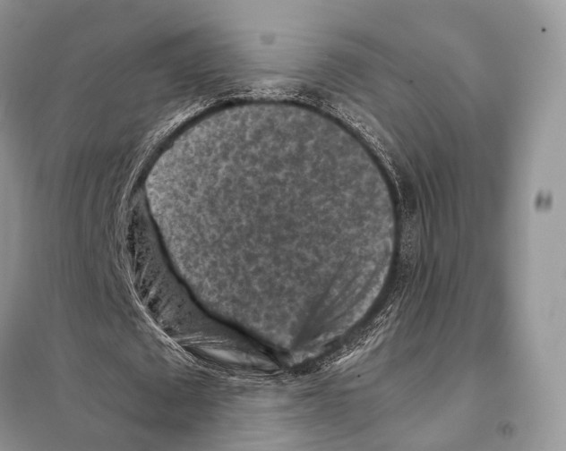 X0000097920673200804111140