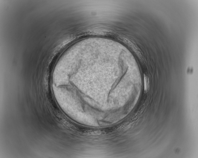 X0000097920675200804111140