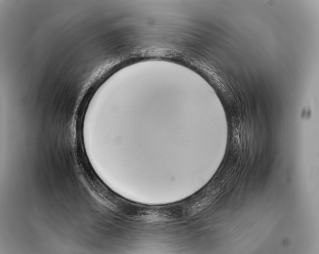 X0000097920678200804111140